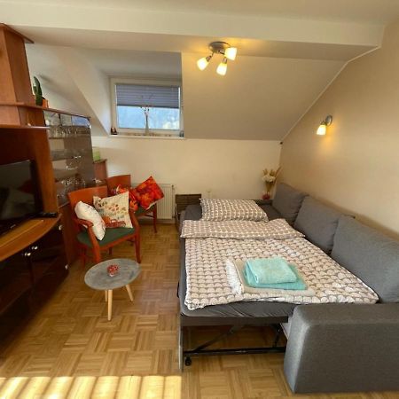 Apartment Kranj - Huge Terrace, Free P, Wi - Fi, Ac Exterior photo