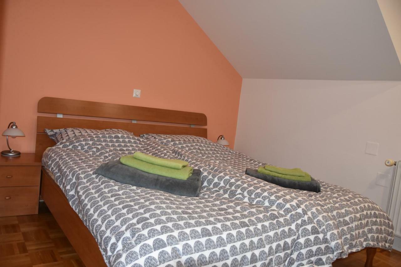 Apartment Kranj - Huge Terrace, Free P, Wi - Fi, Ac Exterior photo